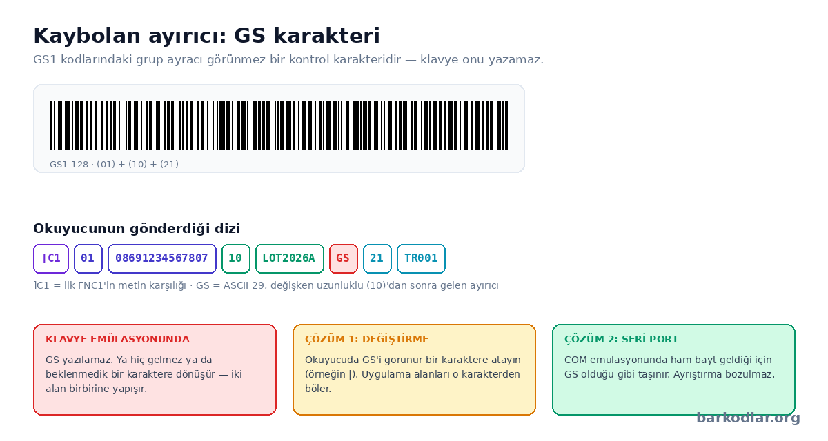 GS1-128 kodundaki grup ayracı GS karakterinin klavye emülasyonunda kaybolması ve çözümleri
